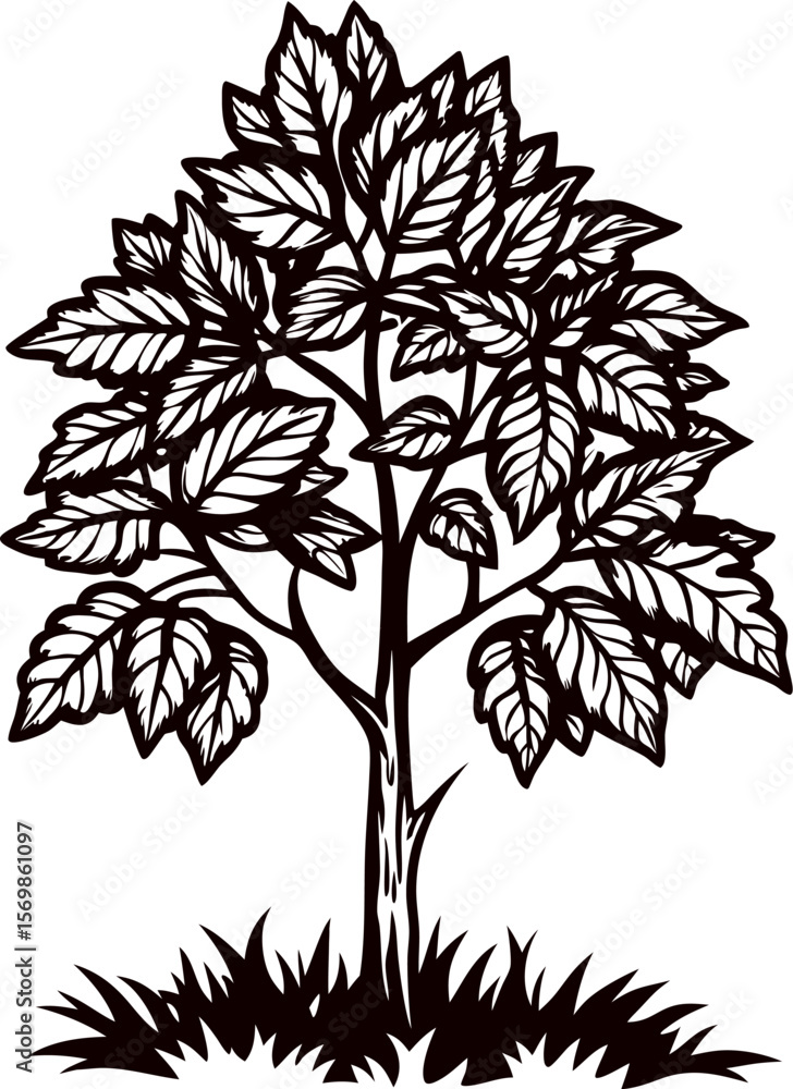 Obraz premium Detailed hand drawn tree with dense foliage and textured bark isolated on white background illustration