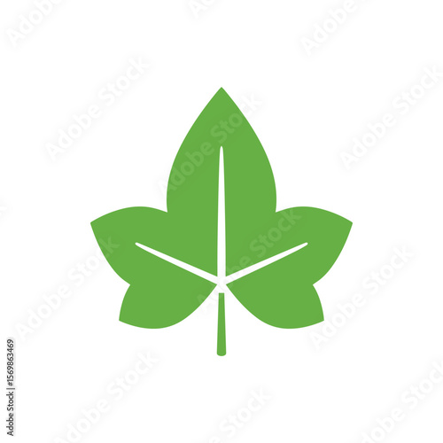 Green ivy leaf icon silhouette vector flat illustration design. Ivy icon.
