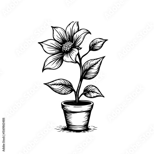 Elegant hand drawn flower in a pot showcasing botanical illustration and natural beauty for design projects