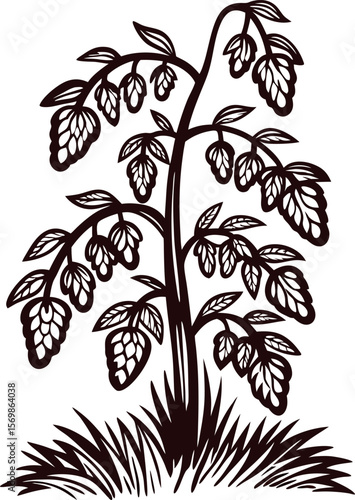 Monochrome vintage hop plant illustration with leaves, cones, and detailed botanical elements on white background
