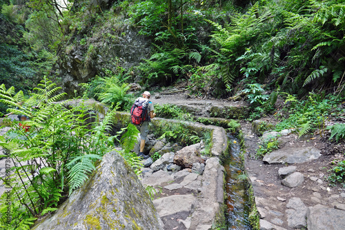 Trek à Madère 2025 - Jour 4 (Lombo do Urzal, levada Dos Tornos, Lamaceiros, Solar da Boaventura)