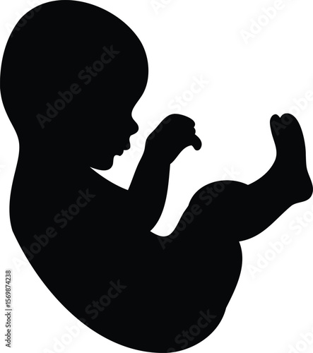 Baby Silhouette in Fetal Position Vector Illustration Representing Early Human Life, Motherhood, or Maternity Concept