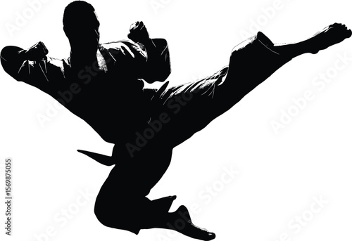 Dynamic silhouette of a martial artist performing a kick, ideal for sports themed visuals or promotional materials with an energy theme.