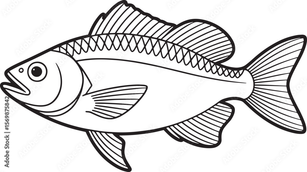 Fototapeta premium Black and white drawing of a fish with fins and tail outline