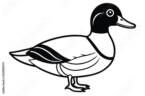 Stylized Line Drawing of a Mallard Duck, Depicted with a Black Head and Beak