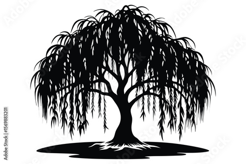 Silhouette of a Weeping Willow Tree with Drooping Branches and Dense Foliage