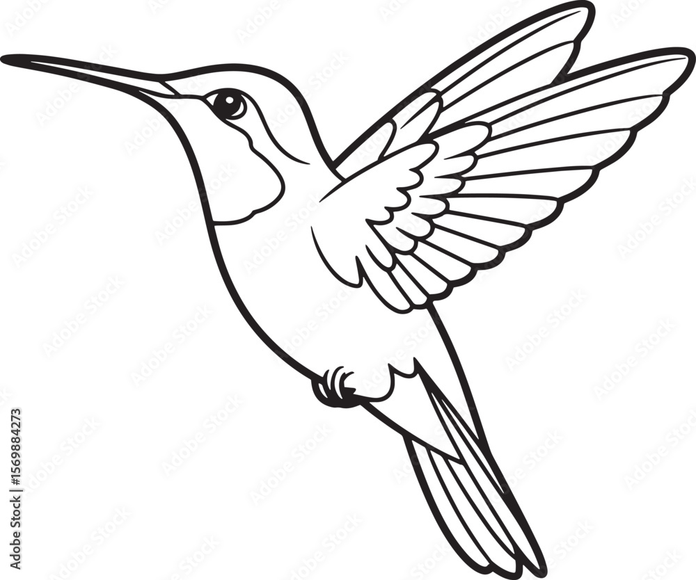 Hummingbird in flight with detailed wings and beak flying Hummingbird in flight with detailed wings and beak flying