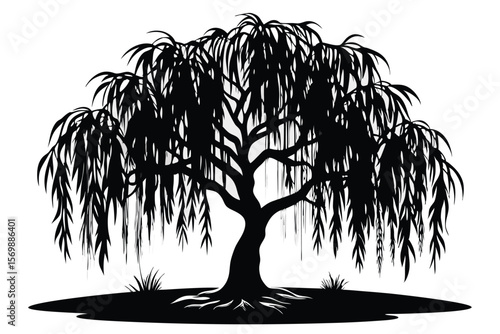 Black Silhouette of a Weeping Willow Tree with Overhanging Branches and Grass Tufts