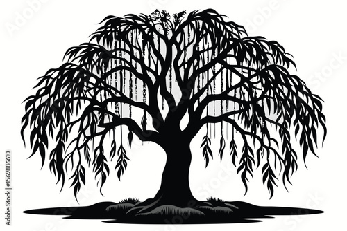Silhouette of Weeping Willow Tree with Dense Branches and Hanging Leaves Illustration