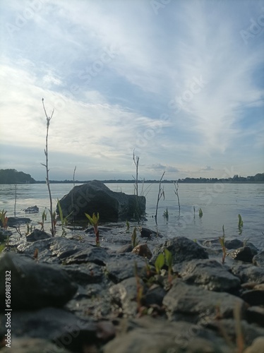 sunset over the river
