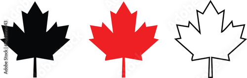 maple leaves icon collection isolated on transparent background. vector illustration
