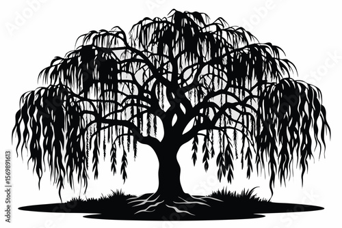 Silhouette of Weeping Willow Tree with Grass and Roots on a Plain Background
