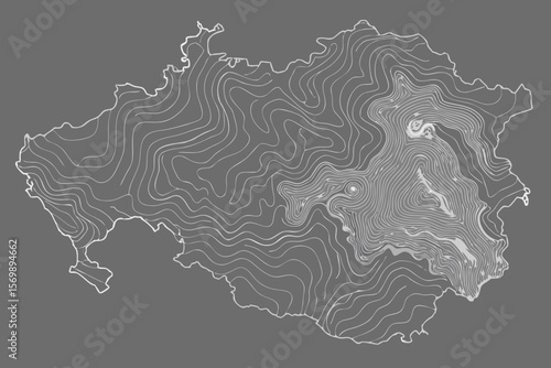 Abstract Topographic Map Illustration with Contour Lines on a Gray Background