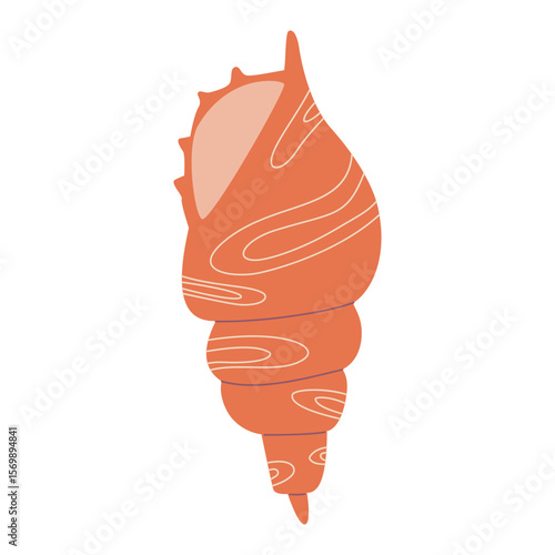 Sea shell, vector illustration isolated on white background. Hand drawing of saltwater seashell, clam, conch