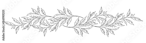 floral leaves line art isolated on white background. Divider doodle leaf and flowers, nature border decorative element vector illustration