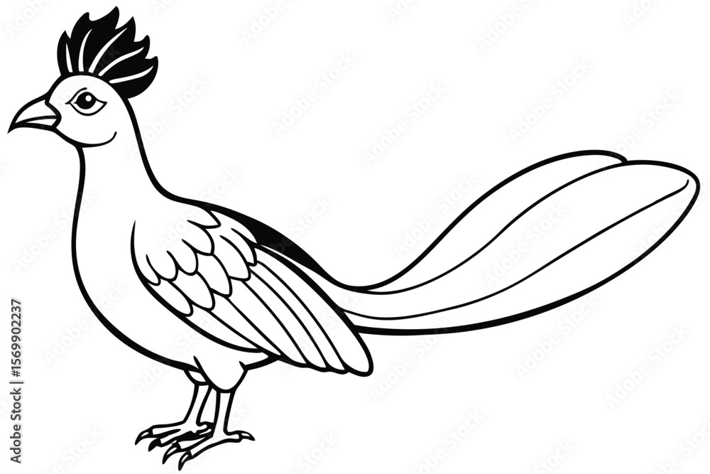 Fototapeta premium Outlined Illustration of a Pheasant with Distinct Feathers and Crested Head Design