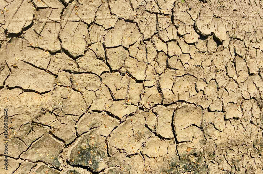 Fototapeta premium Cracked parched dehydrated soil, drought, eco problem, climate cracks.