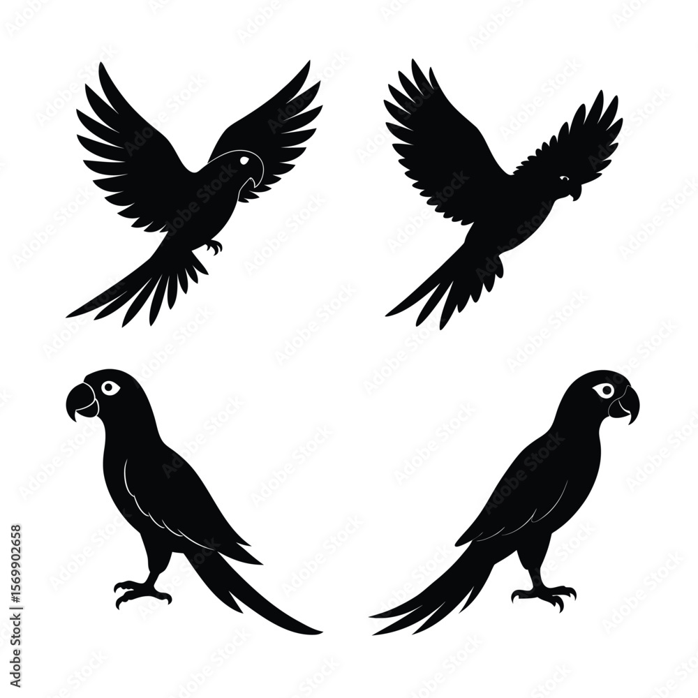 Fototapeta premium silhouette parrots Bundile