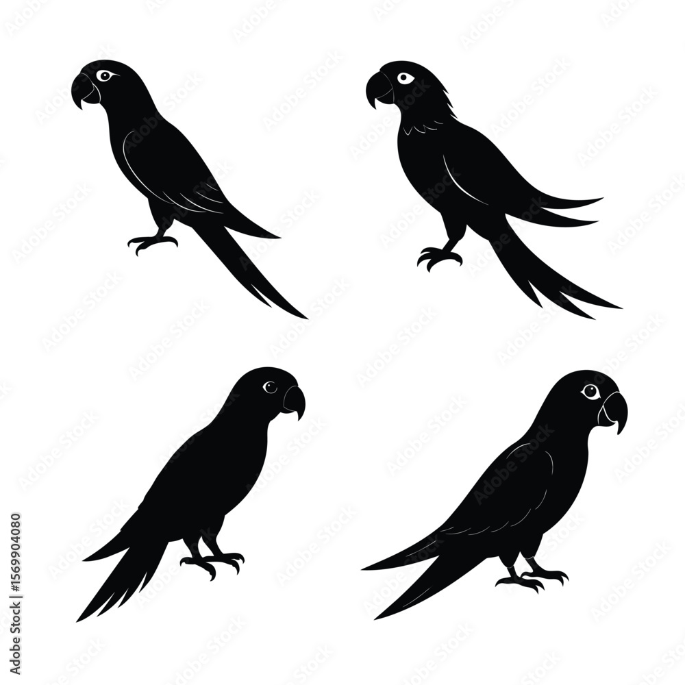 Fototapeta premium silhouette parrots Bundile