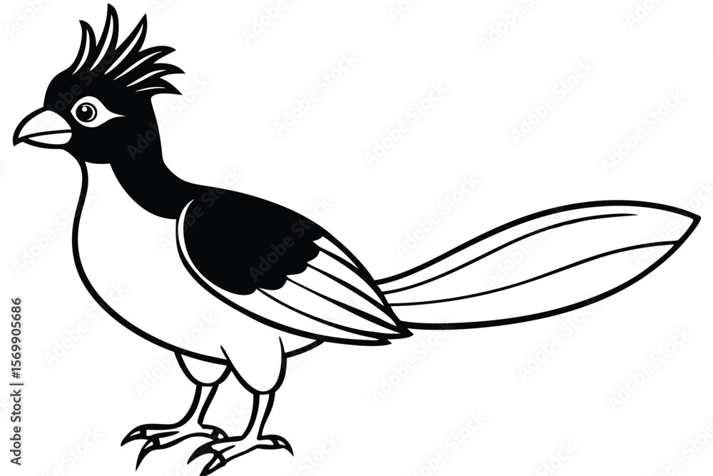 Fototapeta premium Black and White Cartoon Roadrunner with Crest Standing Upright Illustration Design Graphic