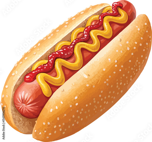 hot dog vector illustration