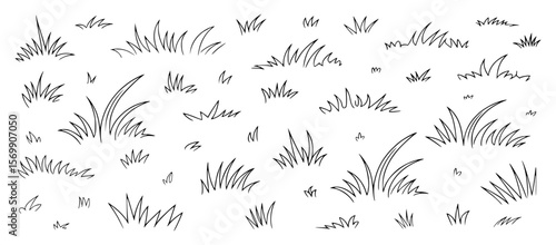 Black and white sketch of various grass clumps and blades drawing