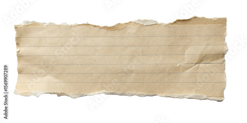 Wallpaper Mural Torn piece of graph paper isolated on transparent background Torontodigital.ca