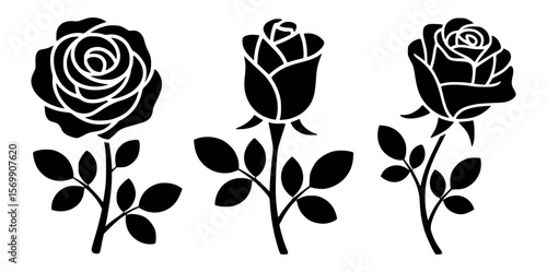 Black rose silhouettes with leaves on white background flower bloom