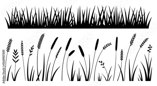 Black silhouettes of various grasses and reeds against a white background cattails stalks