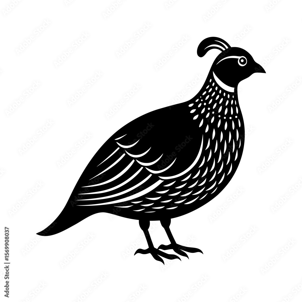 Fototapeta premium Quail clipart on a white background vector illustration