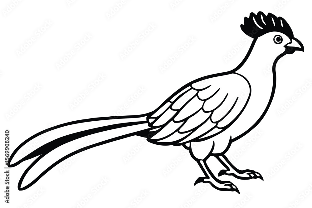 Fototapeta premium Stylized Black and White Line Drawing of a Standing Roadrunner with Crested Head