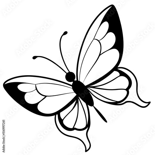 Single butterfly flying line art vector illustration 