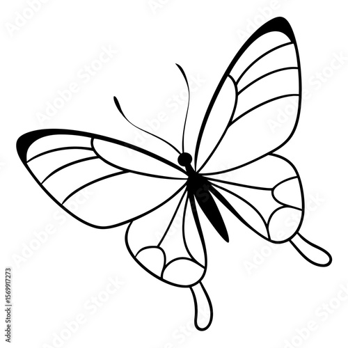 Single butterfly flying line art vector illustration 