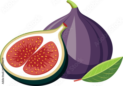 Fig Fruit with Slice Vector for Natural Food Design