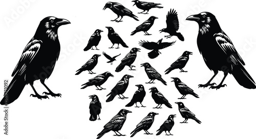 A striking collection of raven and crow silhouettes in various flight and standing poses, symbolizing mystery, intelligence, nature, and gothic aesthetics for diverse design projects.