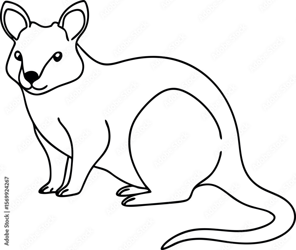 Obraz premium Cute Quokka Line Drawing Vector for Australian Wildlife Design