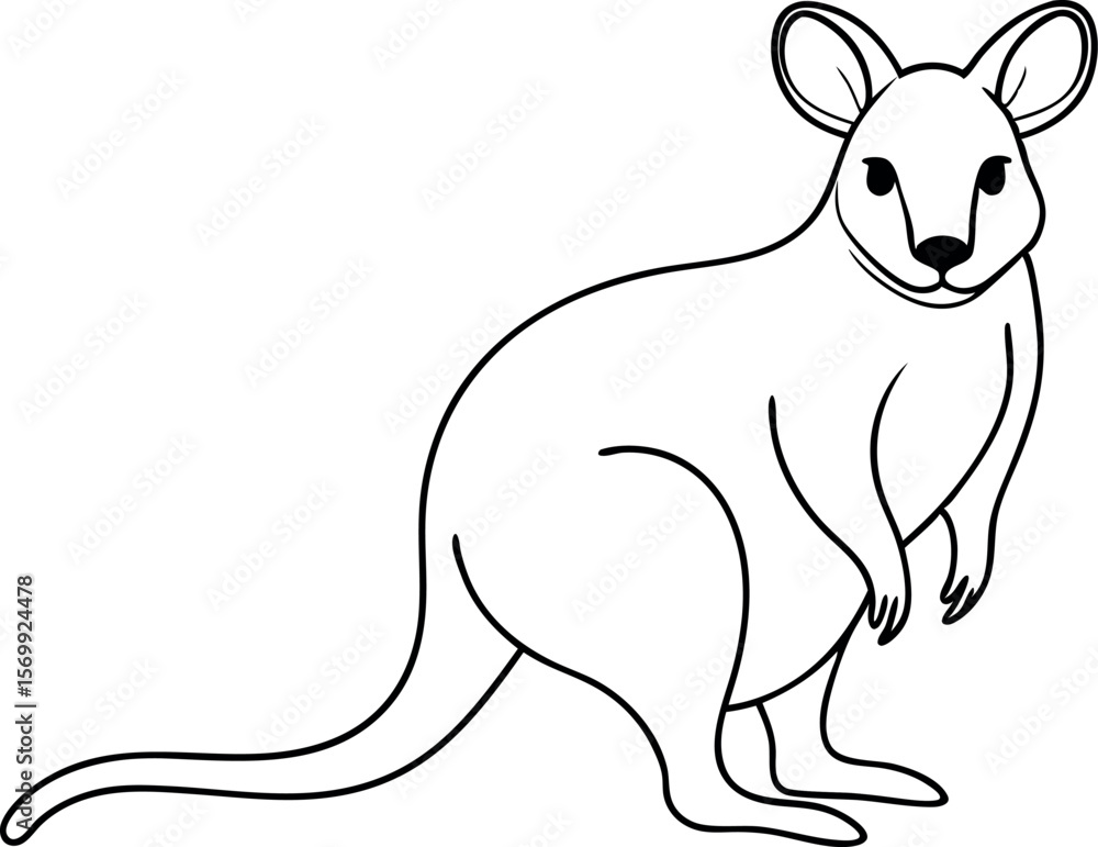 Hand Drawn Quokka Line Vector Art for Nature Themed Graphics Hand Drawn Quokka Line Vector Art for Nature Themed Graphics