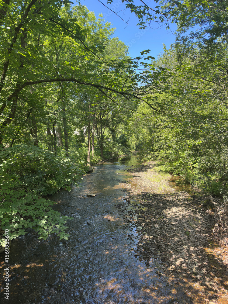 Fototapeta premium Wissahickon Creek Bed and Surrounding Forest