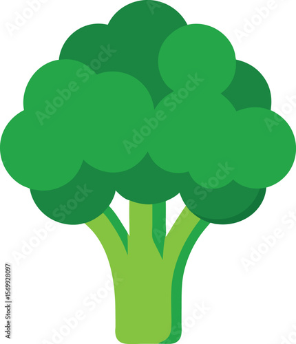 Broccoli in the Raw: A vibrant, high-resolution graphic of a single, fresh broccoli floret is presented, showcasing the natural beauty of this nutritional powerhouse.