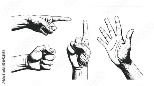 Engraved Hands Collection: Pointing, Fist, One Finger, and Open Hand Illustrations
