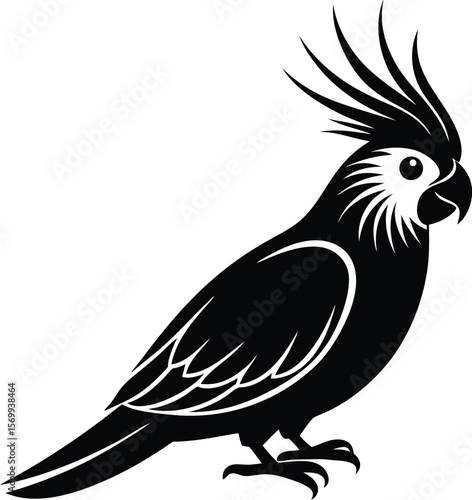 Exotic Black and White Cockatoo Illustration: This image features an elegant black and white Cockatoo, perfect for designs about tropical themes, animals, wildlife, and nature.