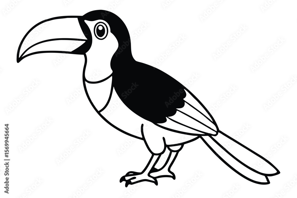 Fototapeta premium Illustrated Black and White Toucan with Large Beak, Standing Bird Cartoon Drawing