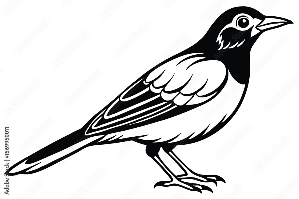 Obraz premium Elegant Monochrome Magpie Illustration Detailed Bird Artwork with Bold Black and White Contrast