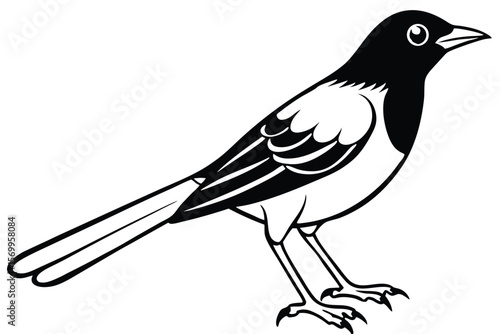 Behang Black and White Illustration of a Standing Magpie Bird with Defined Feathers and