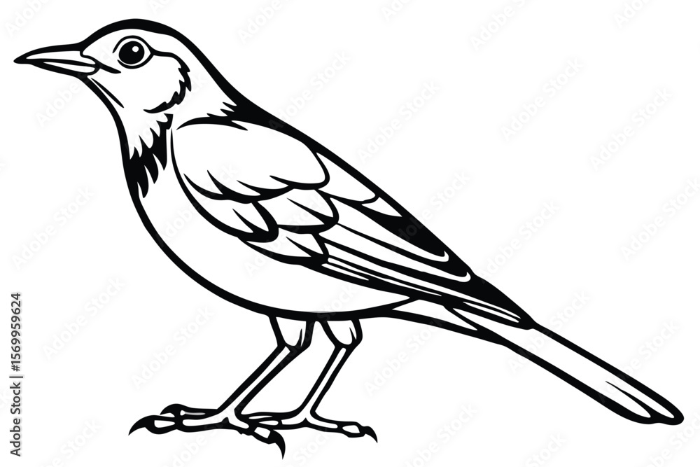 Fototapeta premium Line Art Illustration of a Standing Songbird, Feathers, Beak, and Claws Clearly Defined