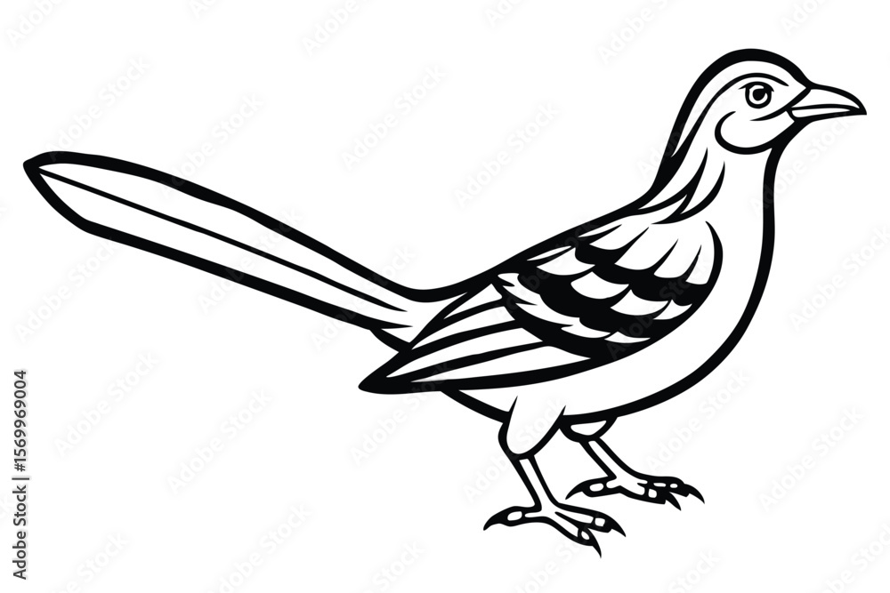 Naklejka premium Black and White Illustration of a Roadrunner Bird with Long Tail Feathers