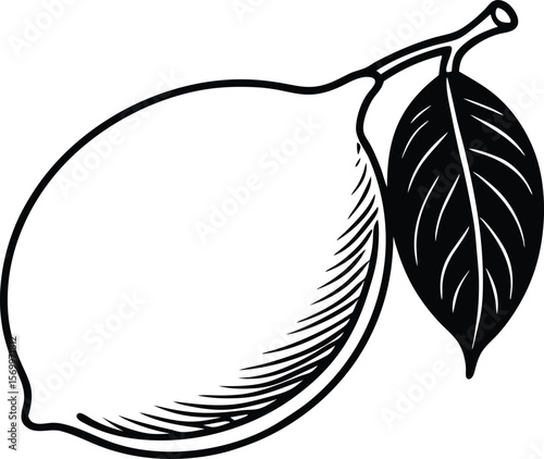 Lemon with Leaf: A meticulously crafted illustration of a zesty lemon alongside its vibrant green leaf. Captures the freshness of nature. 