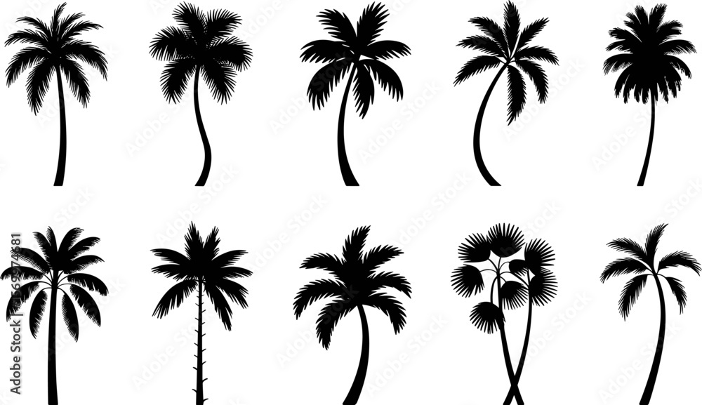 Palm Tree Silhouette Vector Set – Tropical Summer Island Icons Palm Tree Silhouette Vector Set – Tropical Summer Island Icons