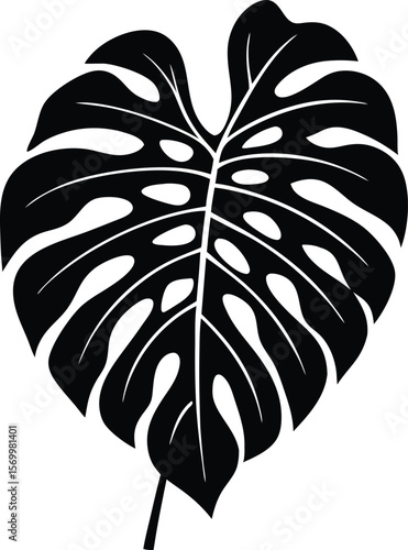 Monstera deliciosa Leaf Silhouette