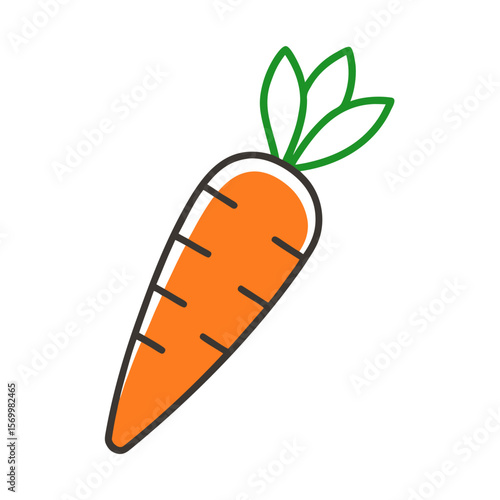 Carrot vector illustration, line art of yellow carrot with vitamin.